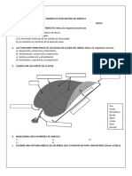 Especialidad de Arboles