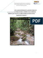 Caracterización de La Biodiversidad de La Microcuenca de La Quebrada Las Panelas