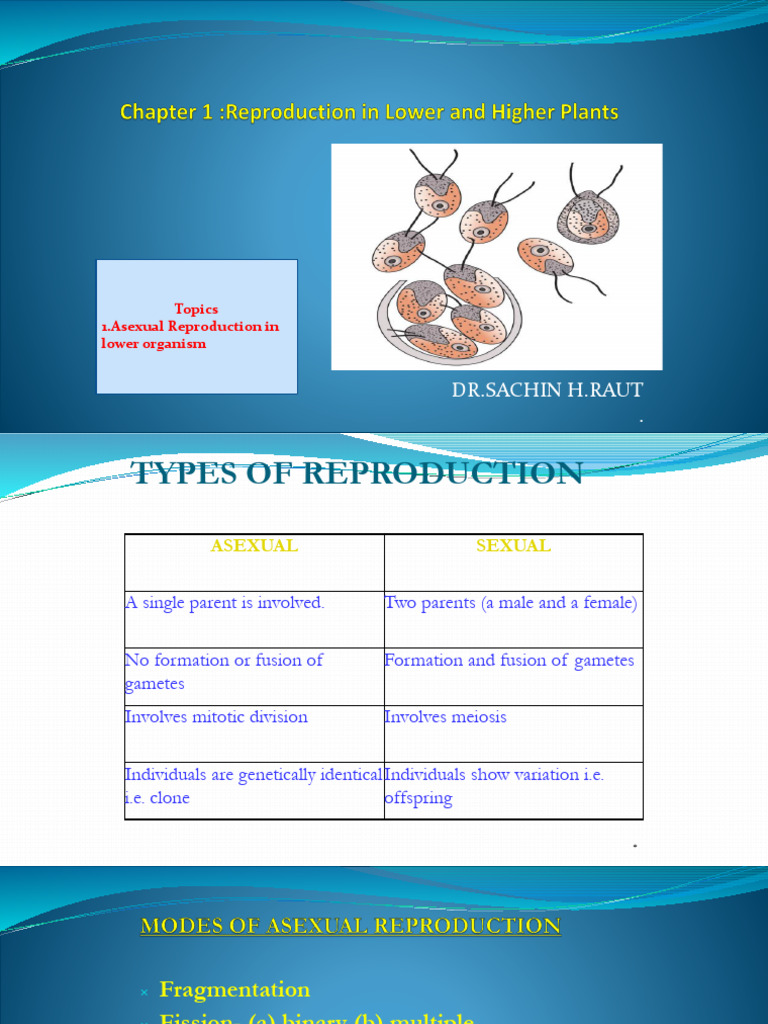 Reproduction in Lower and Higher Plants | PDF | Seed | Fertilisation