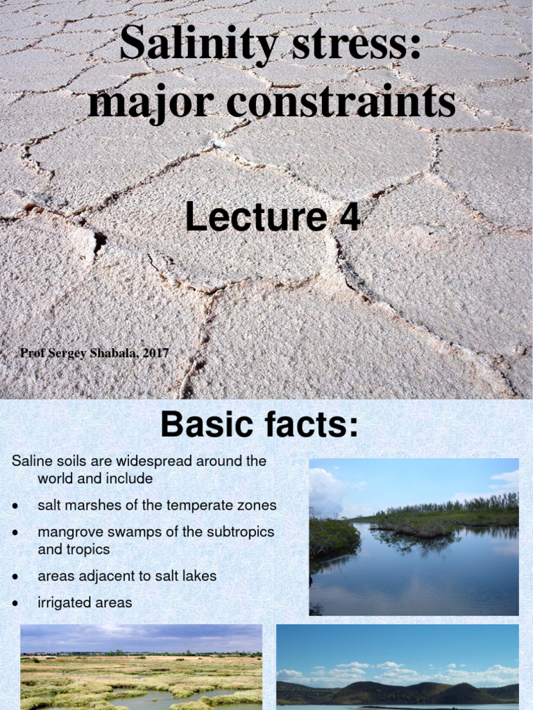 Salinity Stress in Agriculture: Impacts and Solutions | PDF | Sodium | Soil