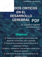 4 - PPT Desarrollo Cerebral y Períodos Críticos