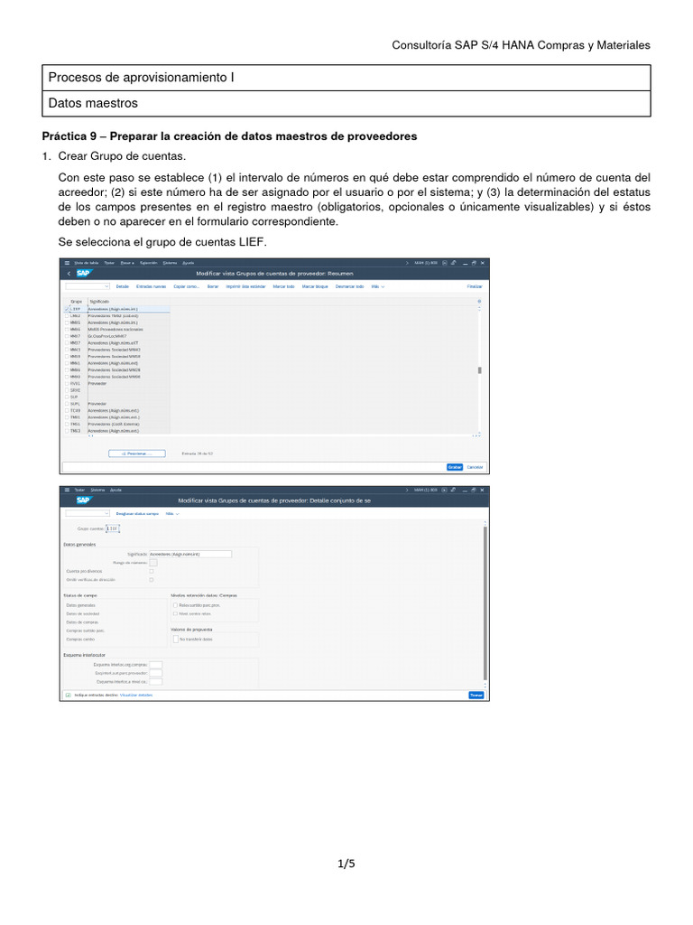 05 Sap Mm Datos Maestros 1 Pdf Informática Tecnologías De La