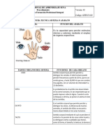 Formato Ficha Tecnica Organos de Los Sentidos