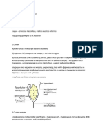 162 Parotideomasseterica