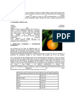 Cultivo de Mandarina