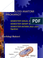 Morfologi Anatomi Prokariot-Lecture2