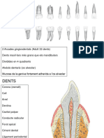 TEORIA-03 Dents