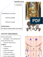 TEORIA-10 Cavitat Abdominopèlvica