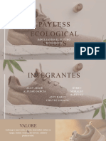 Payless Ecological Shoes