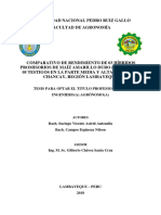 Rendimiento de 03 Híbridos Promisorios Unprg Tesis