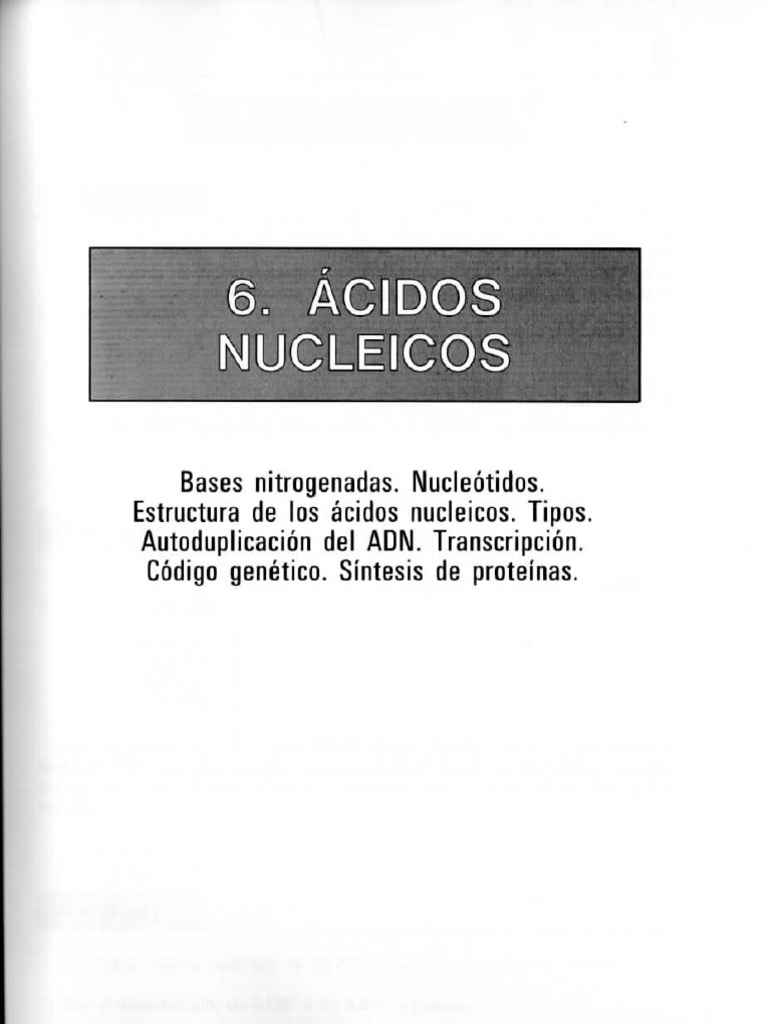 Tema 6 Acidos Nucleicos | PDF