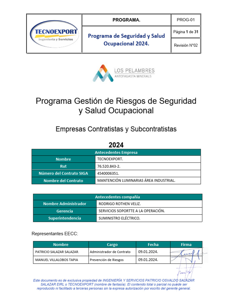 Programa de Seguridad y Salud 2024 | PDF | Seguridad y salud ...
