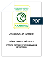 UNLAM TP13 Aparato Reproductor Masculino Integracion 2023