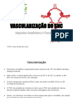 Vascularização Do SNC