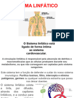 Sistema Linfático