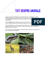 Curiozitati Despre Animale