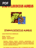 Download presentacin STAPHYLOCOCCUS AUREUS by mavcc SN70741670 doc pdf