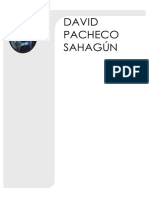 David Pacheco Sahagún Curriculum 22-11-2023
