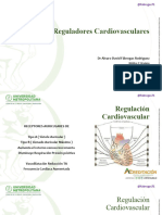 Fisio III 3 Clase Regulación Cardiovascular