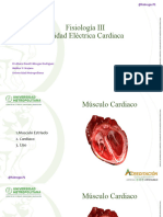 Fisio IV 1 Clase