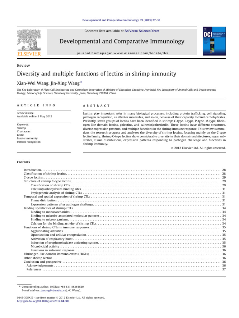 Shrimp Lectins and Immunity Insights | PDF | Immune System | Proteins