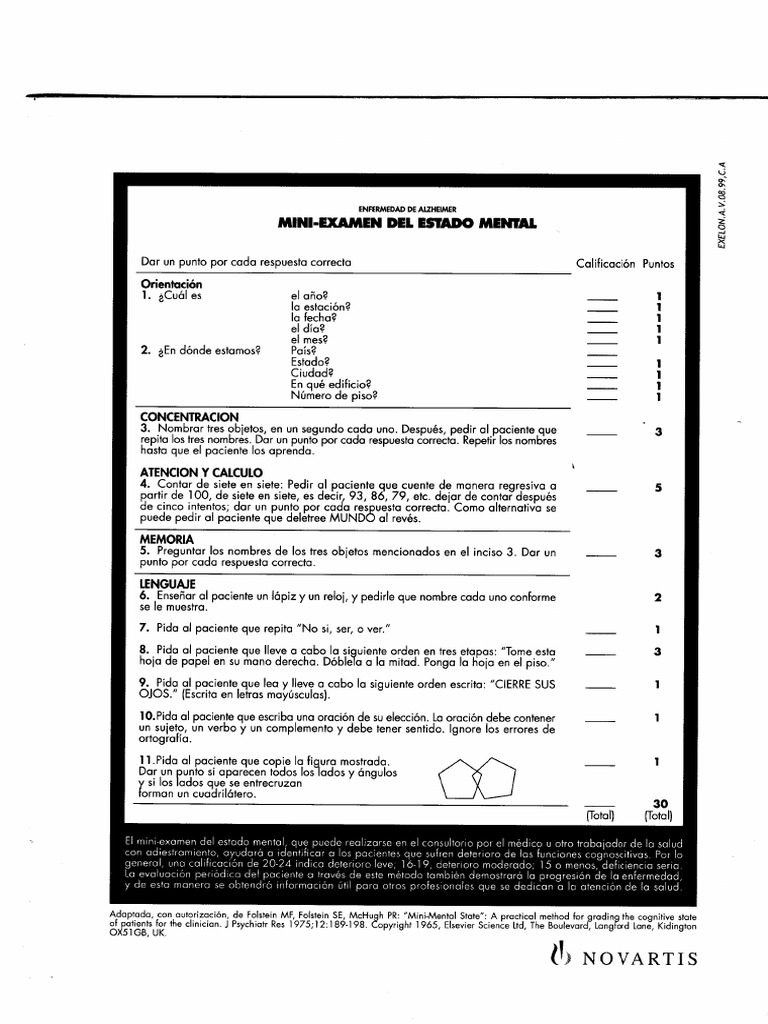 Formato Mini Examen Mental | PDF