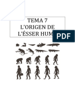 TEMA 7-Lorigen de Lésser Humà