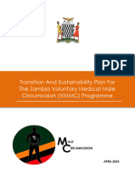 Transition and Sustainability Plan Roadmap