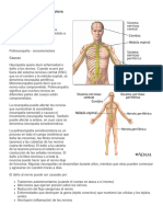 Polineuropatía Sensitivomotora