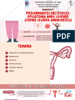 Seminario #1 Procedimientos Obstetricos Episiotomía. Ameu. Legrado Uterino. Cesárea.