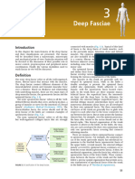 Functional Atlas of The Human Fascial System - 3 Deep Fasciae