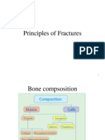 2 Principles-Of-Fractures