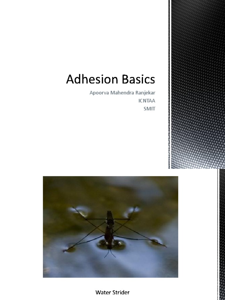 Understanding Surface Tension and Adhesion | PDF | Surface Tension ...