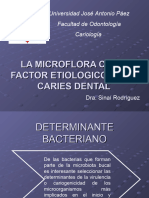 Microflora