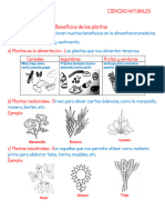 C.naturales - Beneficios