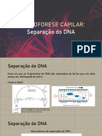 ELETROFORESE CAPILAR - Separação Do DNA