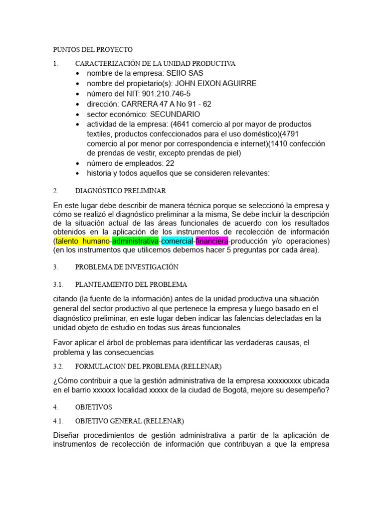 Diagnóstico y Mejora en SEIIO SAS | PDF | Marketing | Business