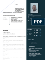 CVFERNEYSALGADODORIA 2pdf