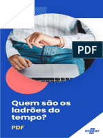 Quem São Os Ladrões Do Tempo