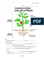 01 - Introduction To Plants