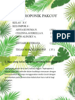 Hidroponik Pakcoy