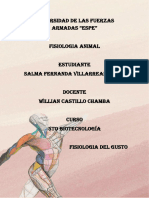 2P-TIND - Fisiología Del Gusto. Salma Villarreal