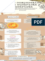 Infografía Comparación Collage Marrón Blanco y Beis