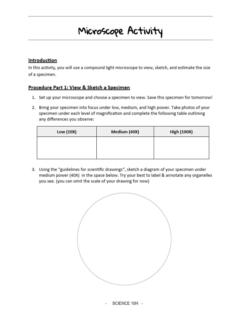 Microscope Activity Pdf Microscope Electromagnetic Radiation