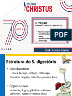 Slides - Fisiologia Humana - Sistema Digestório - Parte 01.