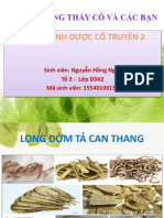 Long Đởm Tả Can Thang