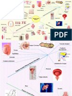 Mapas Mentales