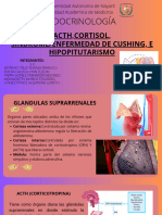 Sindrome de Cushing, Enfermedad de Cushing y Hipopituratismo