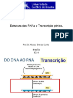AULA 5 - Estrutura Dos RNAs e Transcrição Gênica