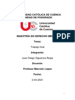 Trabajo Final Dr. Marcelo Lopez PDF